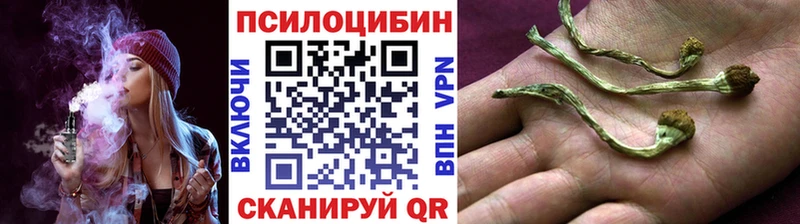 Галлюциногенные грибы мухоморы  закладка  Дмитров 
