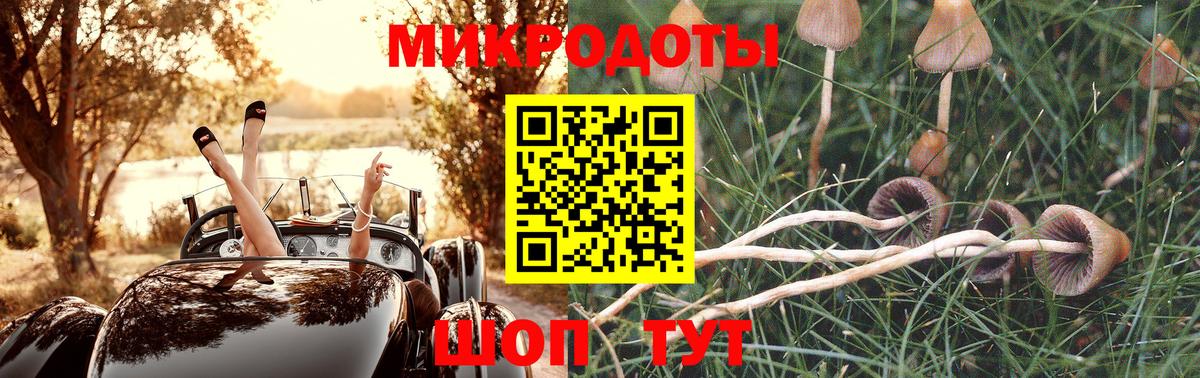 МЕФ Дмитров